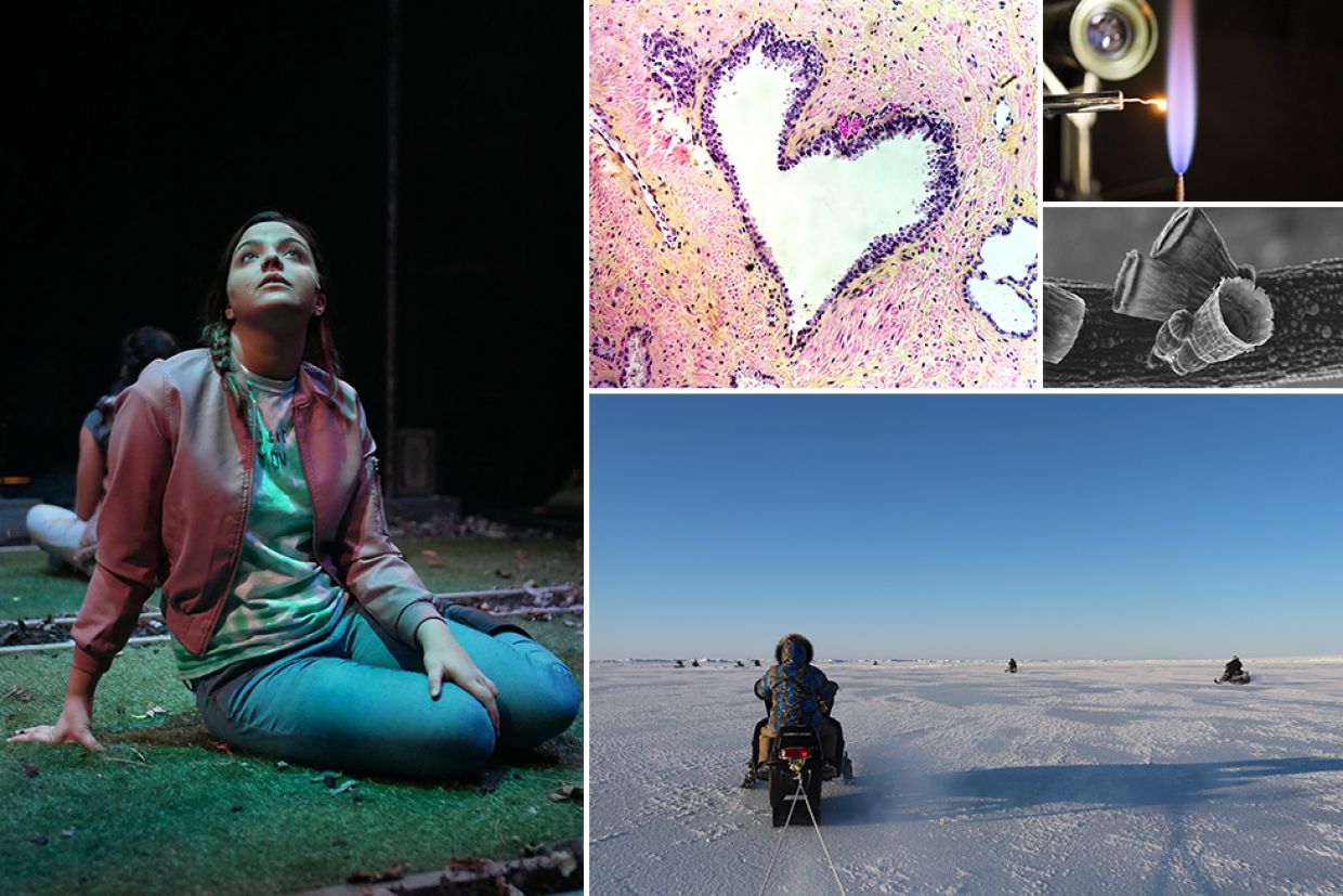 Collage of various research projects