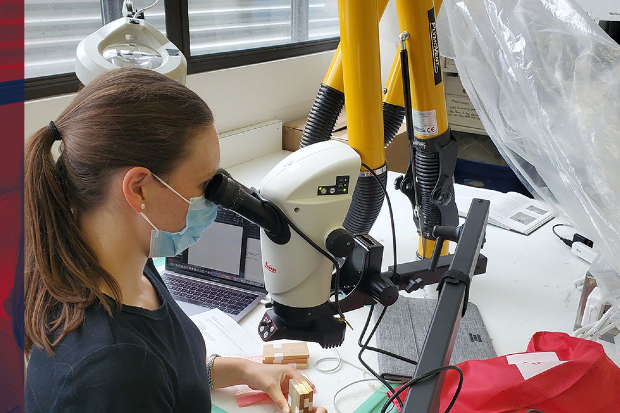 Female student looking through a new Leica S9i microscope