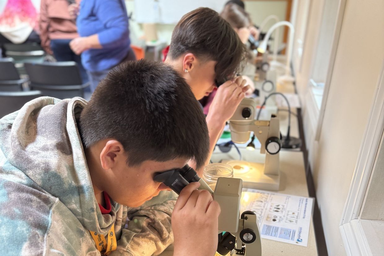 Two students look through microscopes. 