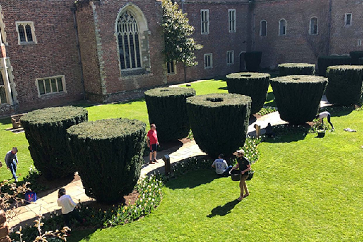 People collecting flowers in the gardens