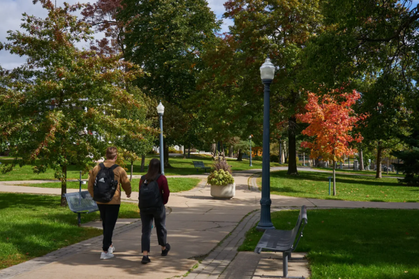 Two people walking along a path in an arboretum