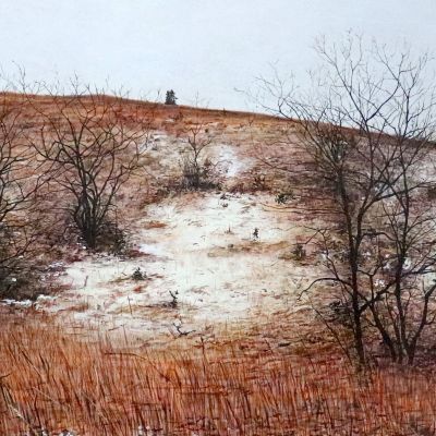 Mr.Leslie’s Field, 8th Line #1