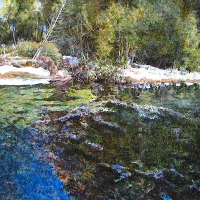 Pond in Early Spring