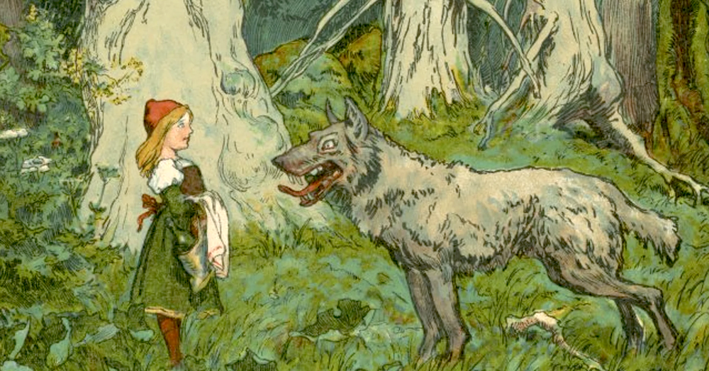 little girl in forest standing in front of a wolf