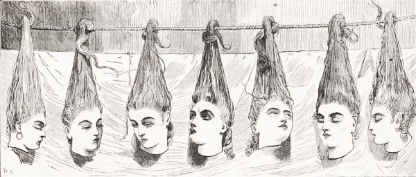 bluebeard's dead wives 