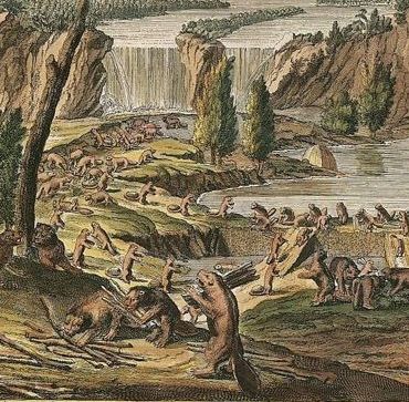 The Whalley Lecture: Prof. Cynthia Sugars, University of Ottawa