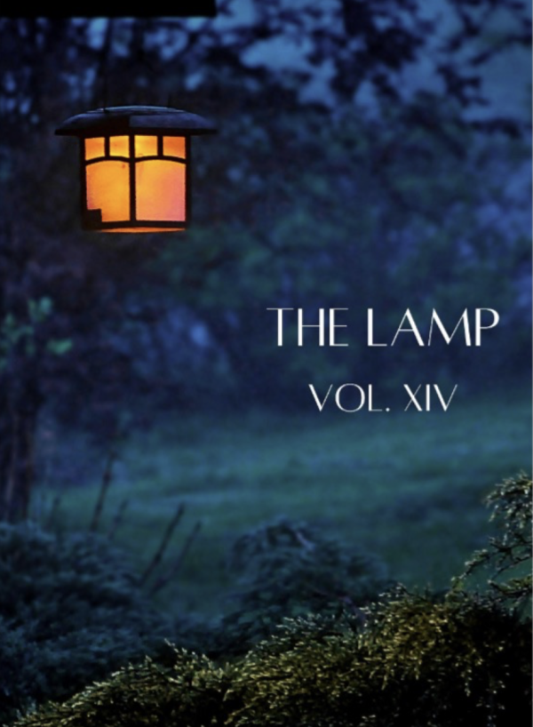 lamp cover volume 14