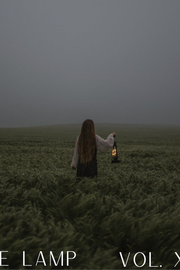 the lamp cover vol 13