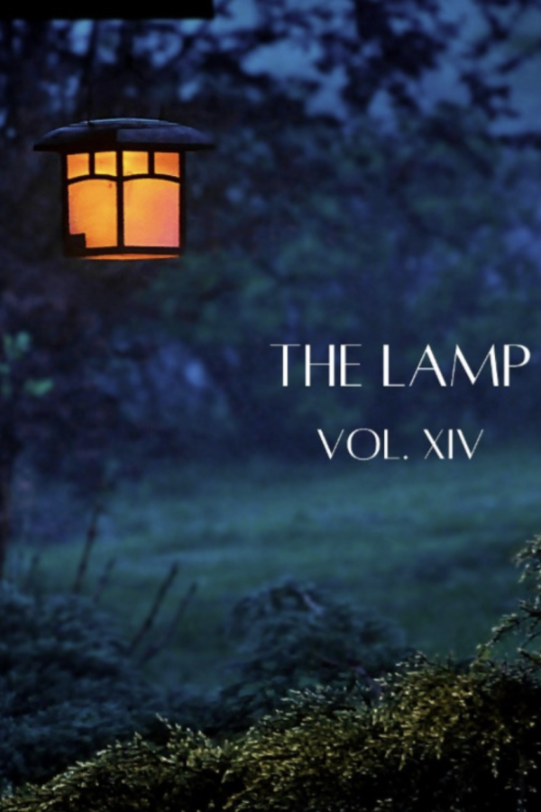 lamp cover volume 14