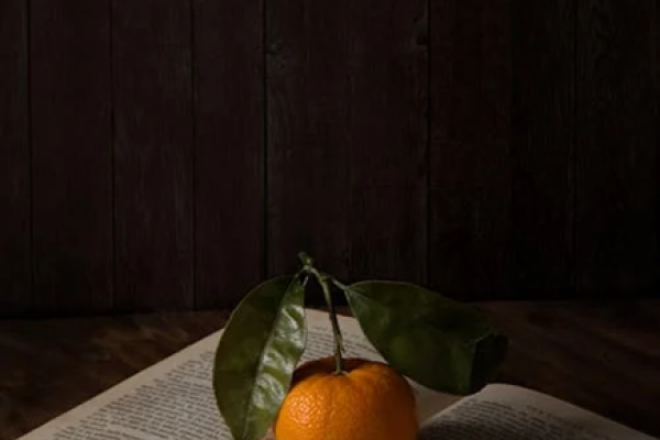 book a desk and an orange on the open book