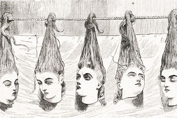 bluebeard's dead wives 