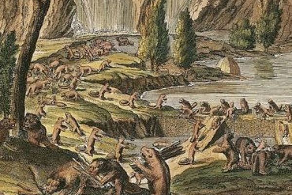 The Whalley Lecture: Prof. Cynthia Sugars, University of Ottawa