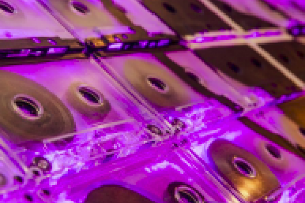 Black Studies Summer Seminar - Call for Applications